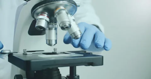 Scientist using microscope in laboratory Stock Footage 308859704