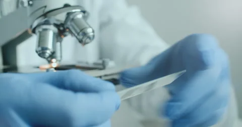 Scientist using microscope in laboratory Stock Footage 308859805