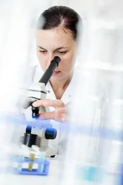Scientist using a microscope in a laboratory Stock Photos