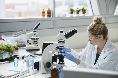 Scientist using microscope in laboratory Foto stock