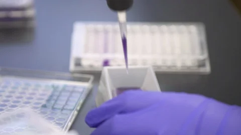 Scientist using multi-channel pipette to fill multiwell plate for analysis Stock Footage 93524254