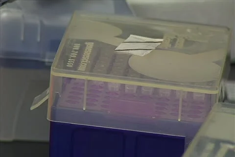 Scientist using a plunger Stock Footage 11351192