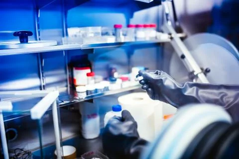 Scientist using protective robber gloves for handling dangerous substances Stock Photos