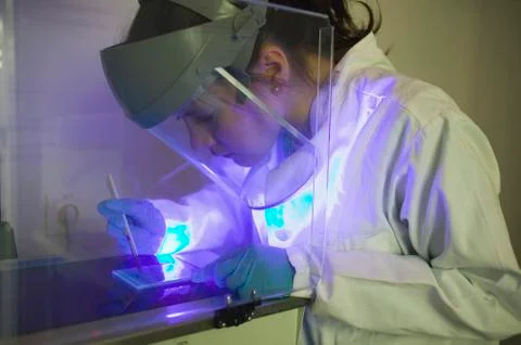 Scientist using scalpel and ultraviolet light for DNA isolation Stock Photos