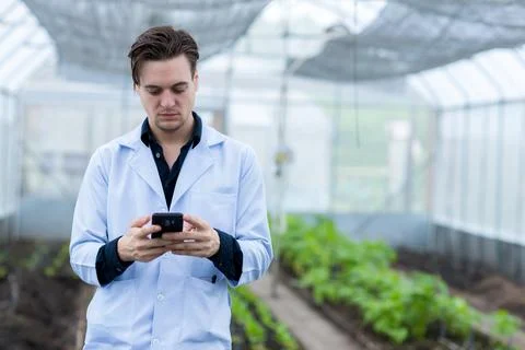 Scientist using Smart Phone. Scientist work at Vegetable Garden Lab site Stock Photos