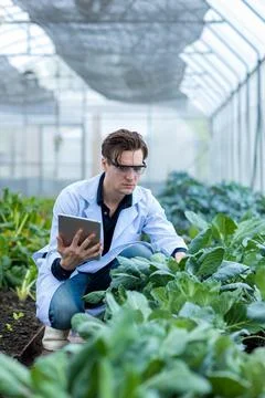 Scientist using Tablet or Smart Phone.  Stock Photos