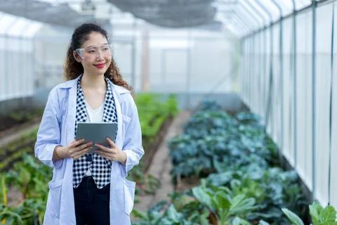 Scientist using Tablet or Smart Phone.  Stock Photos
