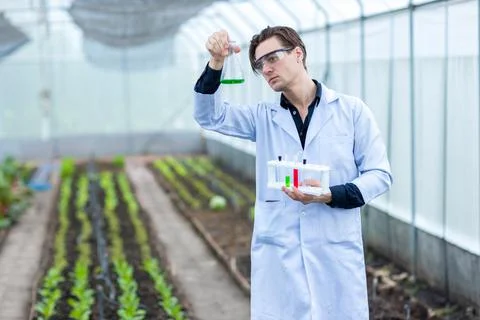 Scientist using test tube. Scientist work at Vegetable Garden Lab site. Stock Photos