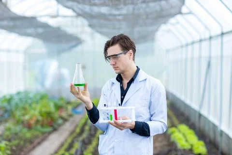Scientist using test tube. Scientist work at Vegetable Garden Lab site. Stock Photos