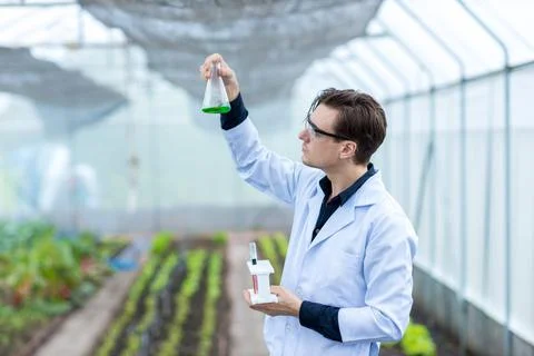 Scientist using test tube. Scientist work at Vegetable Garden Lab site. Stock Photos