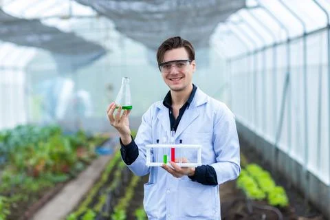 Scientist using test tube. Scientist work at Vegetable Garden Lab site. 스톡 사진