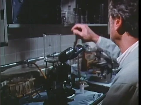 Scientist viewing animal cells on computer screen in lab, 1970s Stock Footage 64629921
