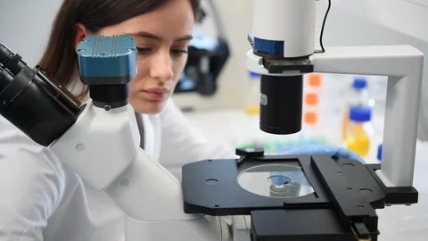 Scientist viewing sample in multi well plate under a microscope in the Stock Footage 129902894