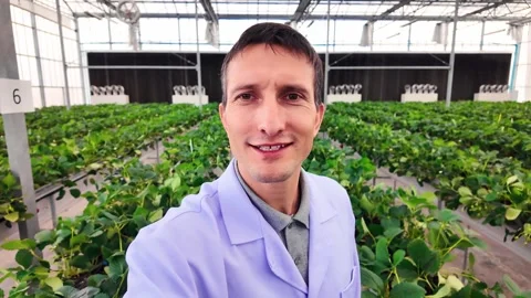 Scientist vlog in a high-tech greenhouse conducting research on sustainable farm Stock-Footage 303621425