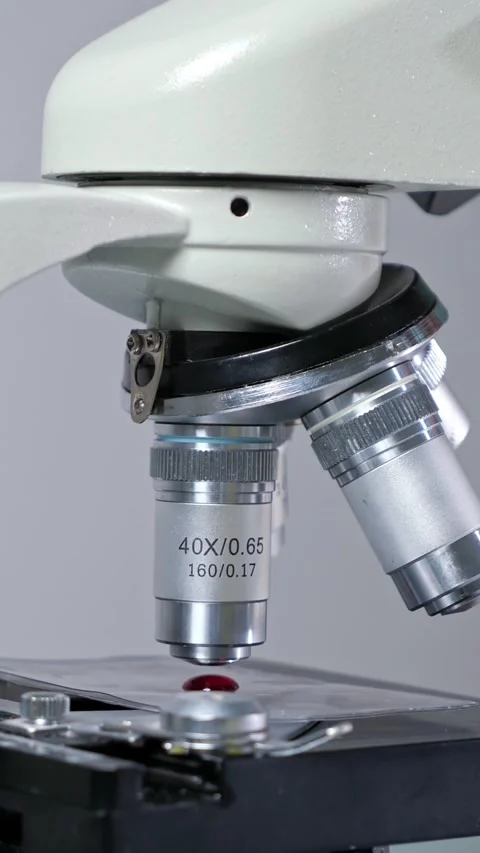 Scientist wearing blue gloves using a laboratory microscope to analyze a red Stock Footage 343909795