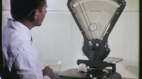 Scientist Weighs Lab Rat on Scale Research 1960s Vintage Film Industrial 16mm Stock Footage 8952877