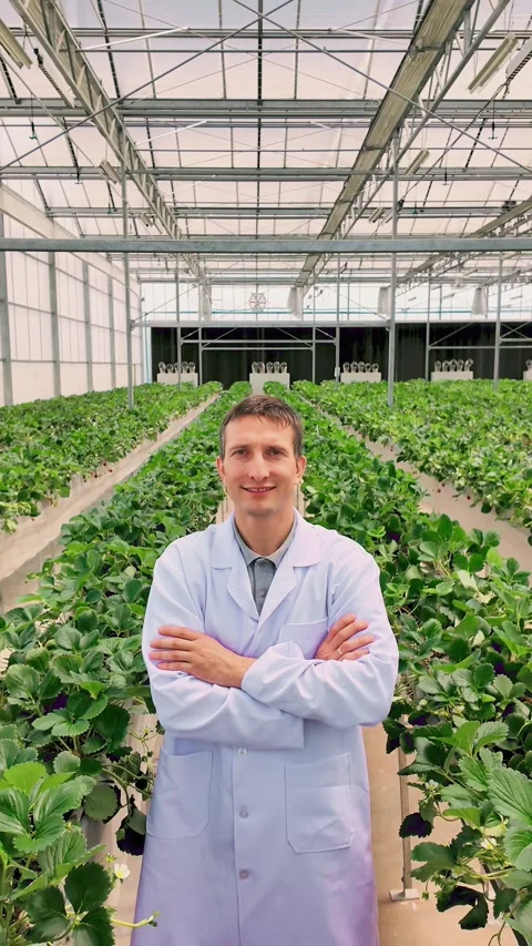 Scientist in white lab coat stands confidently in modern strawberry greenhouse Stock Footage 314370840