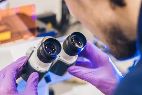 Scientist work on a confocal scanning microscope in a laboratory for biologic Foto stock