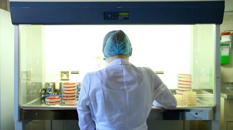 Scientist work in laboratory Vidéo 52167370