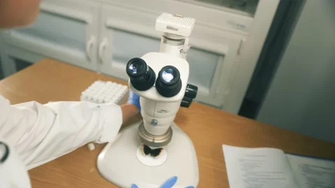 Scientist work with microscope 스톡 동영상 233449440