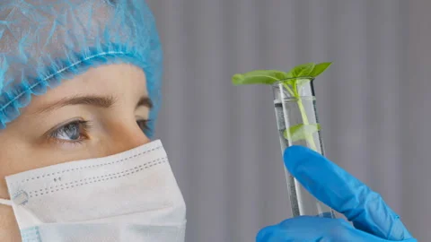 Scientist work with plant in test tubes in laboratory. Stock Footage 101968947