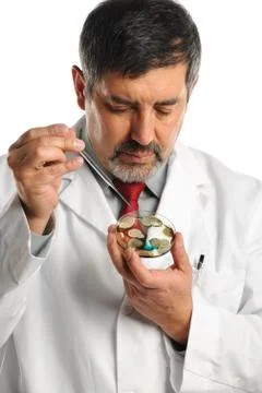 Scientist working with bacteria on petri dish Stock Photos