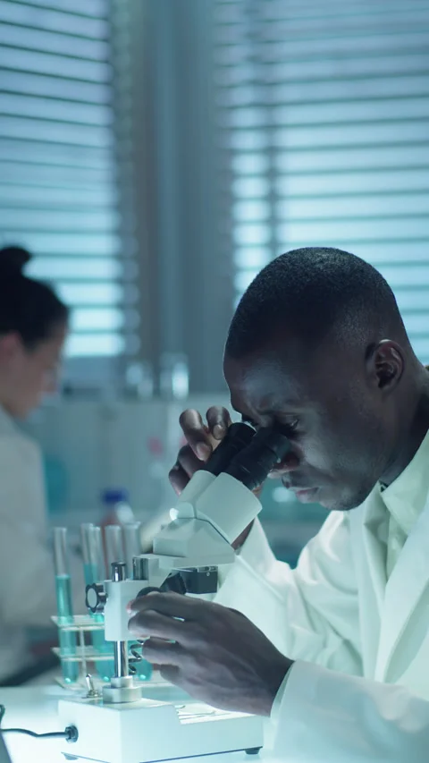 Scientist Working with Compound Microscope in Laboratory Stock Footage 234551271