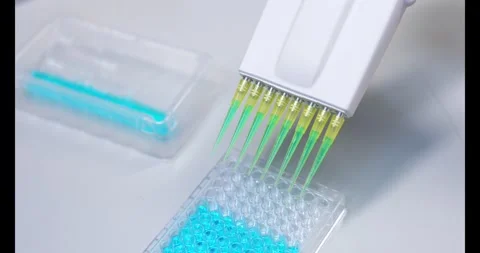 Scientist working with Elisa plate in laboratory Stock Footage 341732414