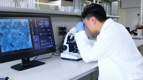 Scientist working in lab. Asian doctor making medical research. Laboratory tools Stock Footage
