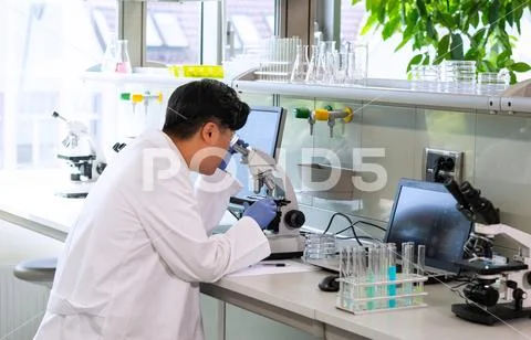 Scientist working in lab. Asian doctor making medical research. Laboratory tools Stock Photos