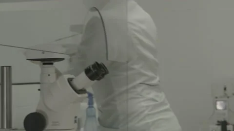 Scientist working in lab. Doctor analyzing, research Video stock 143160557