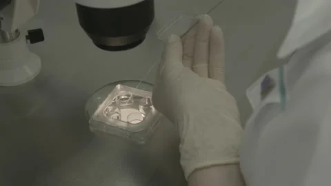 Scientist working in lab. Doctor analyzing, research Video stock 143160610