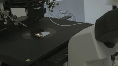 Scientist working in lab. Doctor analyzing, research Video stock 143160656