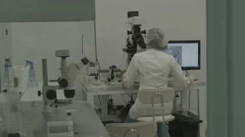 Scientist working in lab. Doctor analyzing, research Video stock 143160684