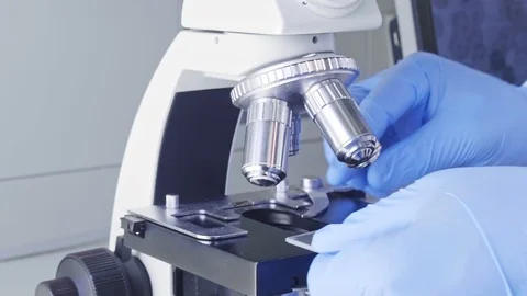 Scientist working in lab. Doctor making microbiology research. Biotechnology Video stock 115927583