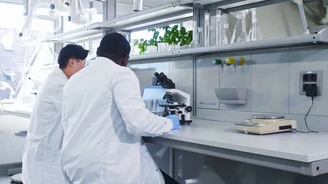 Scientist working in lab. Doctors making medical research. Laboratory tools Video stock 116298469