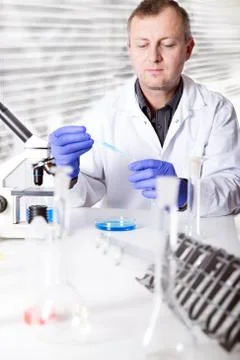 Scientist working in the lab , examines a with liquid Stock Photos