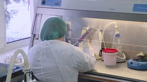 Scientist Working in the Lab. Video stock 101967371