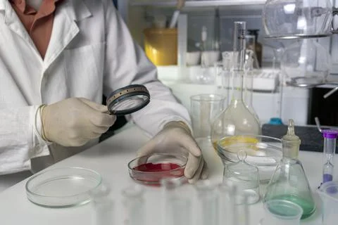 Scientist working with laboratory blood samples. The effect of food additives Stock Photos
