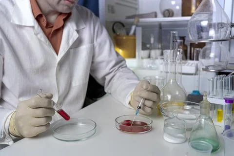 Scientist working with laboratory blood samples. The effect of food additives Stock Photos