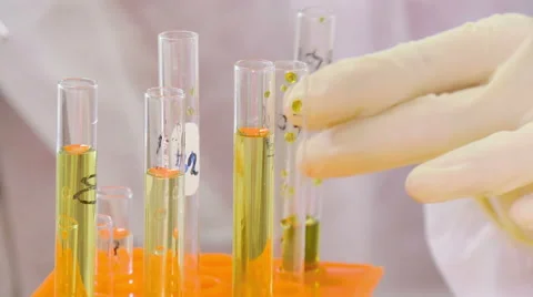 Scientist working at the laboratory, close-up Stock Footage 66745073