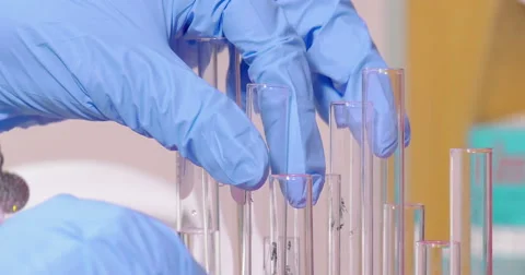 Scientist working at the laboratory, close-up Stock Footage 66745303