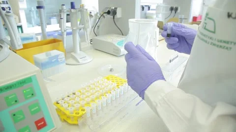 Scientist working in the laboratory with DNA and blood Stock Footage 136400661