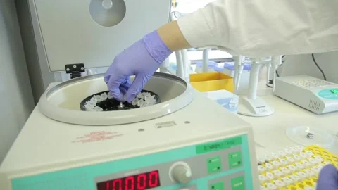 Scientist working in the laboratory with DNA and blood Stock Footage 136400774