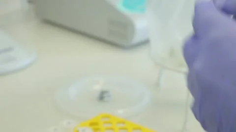 Scientist working in the laboratory with DNA and blood Stock Footage 136400898