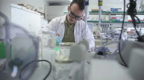 Scientist working in laboratory Stock Footage 1744656