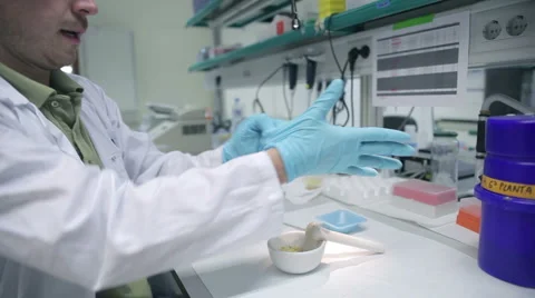 Scientist working in laboratory Stock Footage 1805676