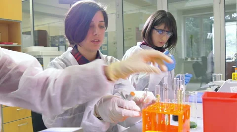 Scientist working at the laboratory Stock Footage 66745041