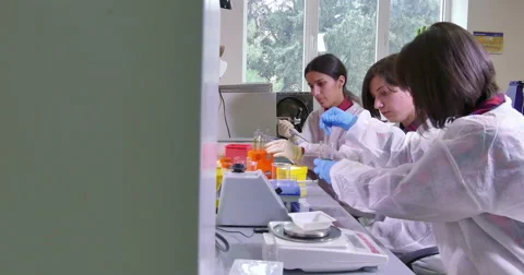 Scientist working at the laboratory Stock Footage 66745124