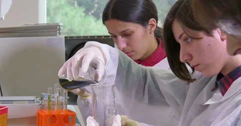 Scientist working at the laboratory Stock Footage 66745254